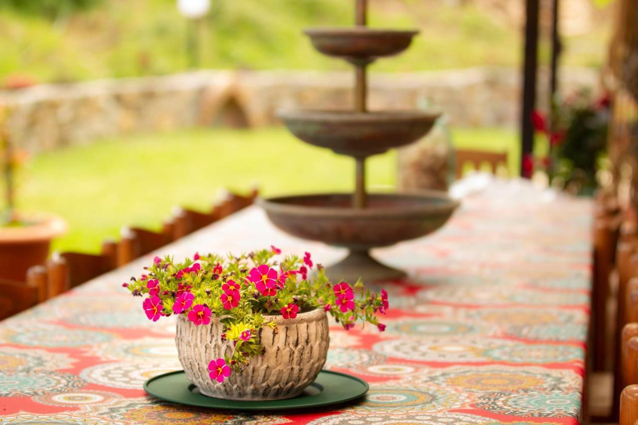 B&B Aloe Ranch Elba Rio dellʼElba エクステリア 写真